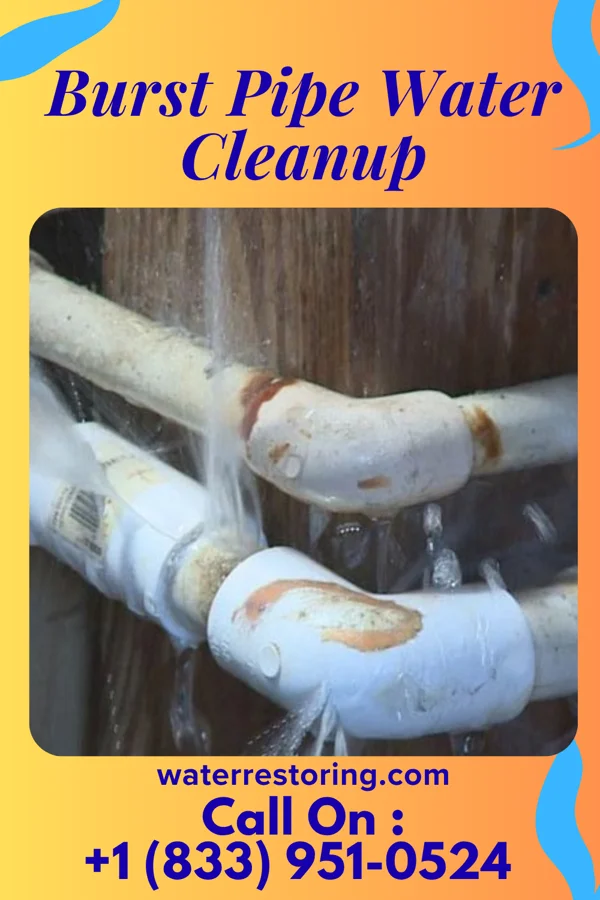 Burst Pipe Water Cleanup in Middlebush, NJ