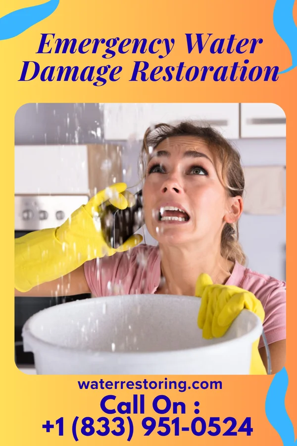 Emergency Water Damage Restoration in Middlebush, NJ