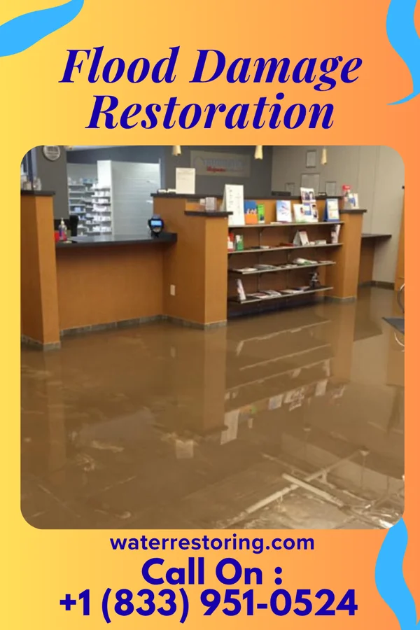 Flood Damage Restoration in Middlebush, NJ
