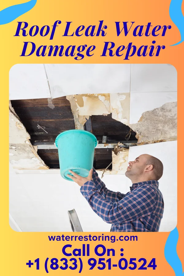 Roof Leak Water Damage Repair in Middlebush, NJ