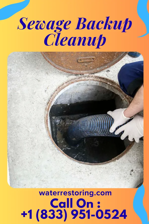 Sewage Backup Cleanup in Middlebush, NJ