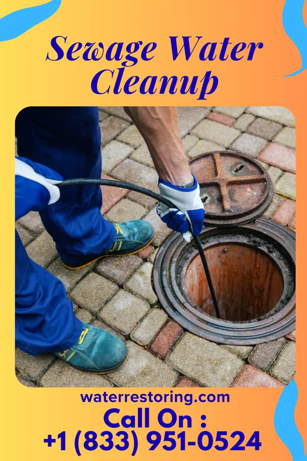 Sewage Water Cleanup in Middlebush, NJ
