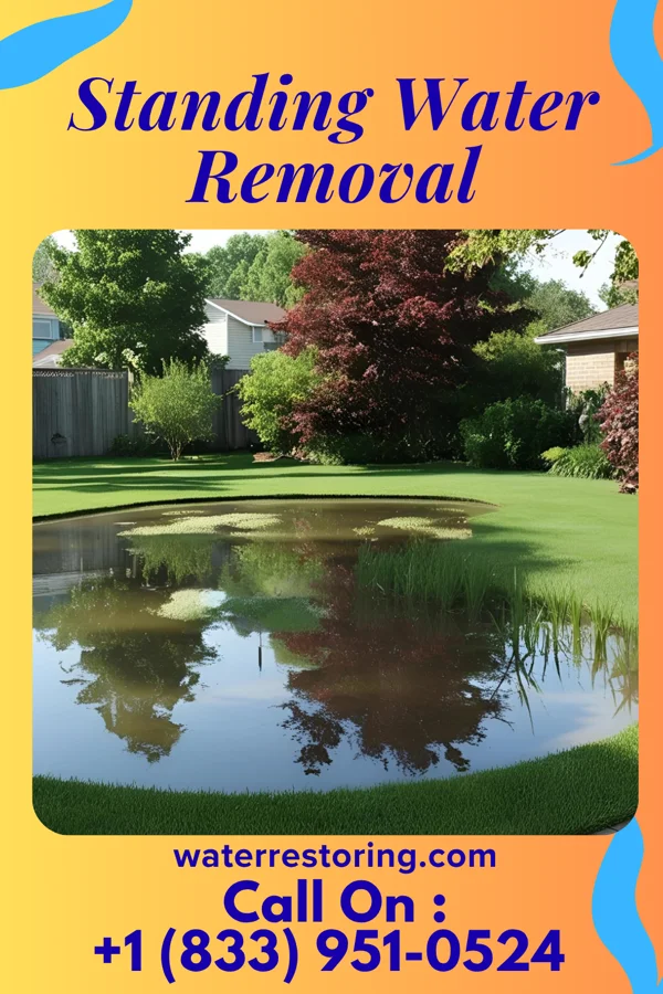 Standing Water Removal in Middlebush, NJ